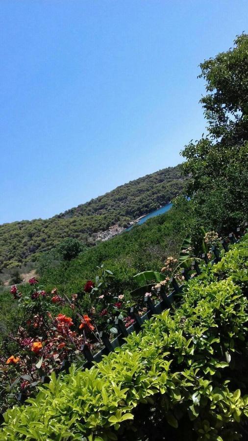 Hotel Marialena Epidaurus Bagian luar foto